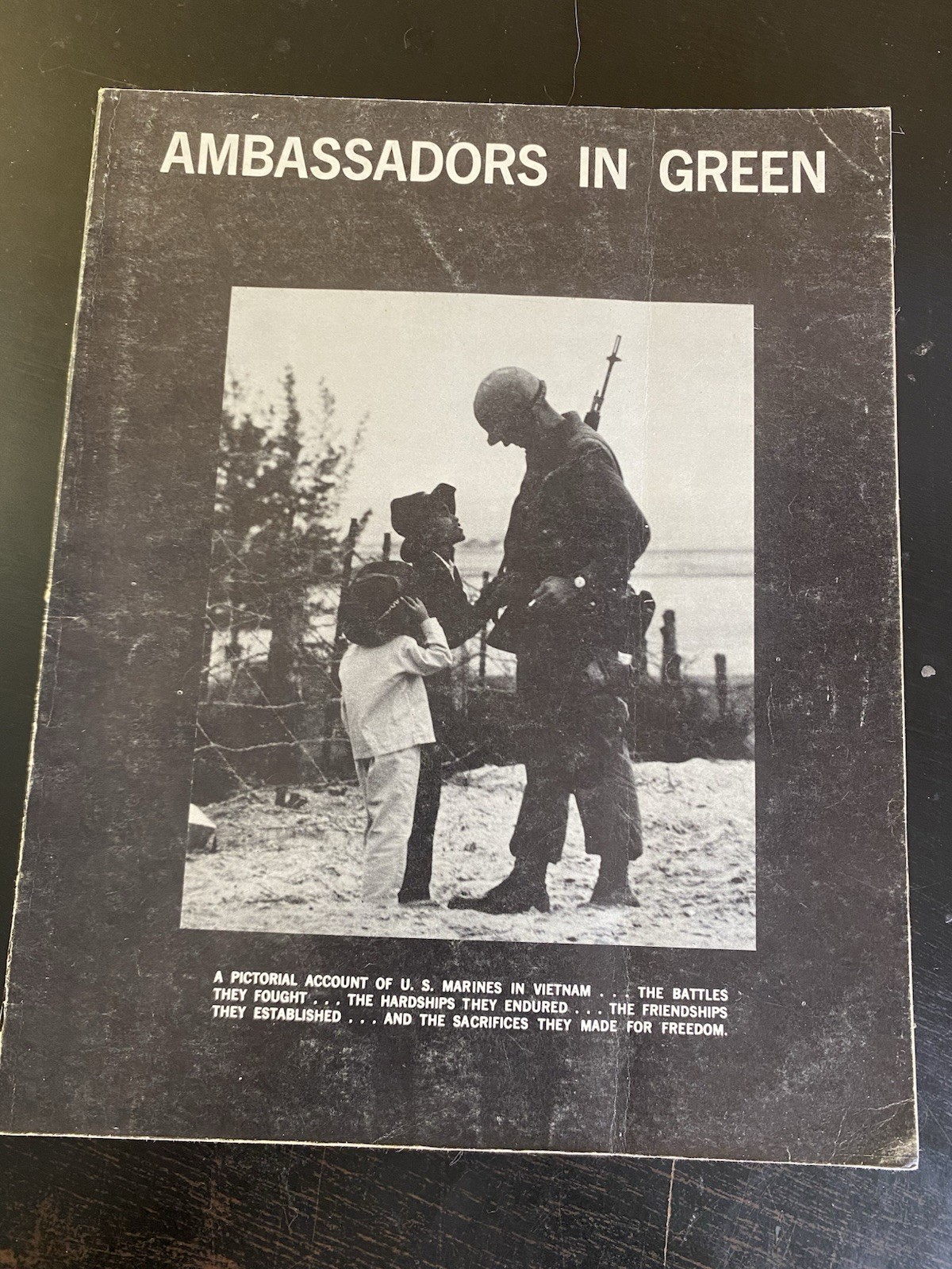 AMBASSADORS IN GREEN by Tom Bartlett USMC Vietnam CA Platoon 1971 1st Printing