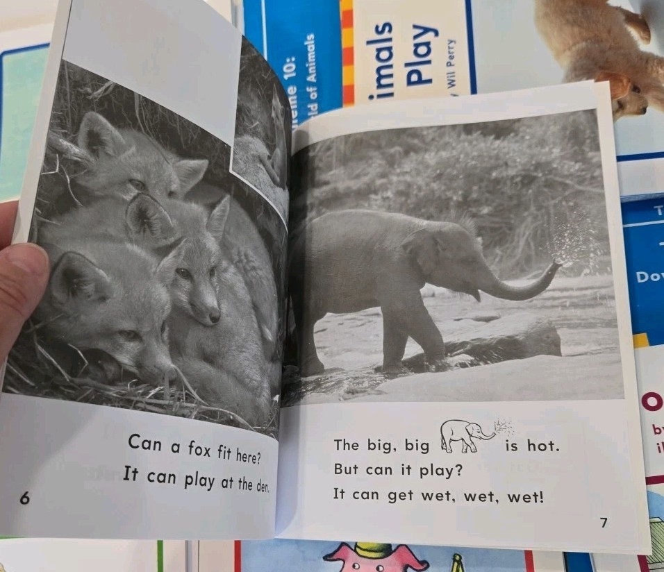 On My Way Practice Readers *Kindergarten* Houghton Mifflin 50 Readers New
