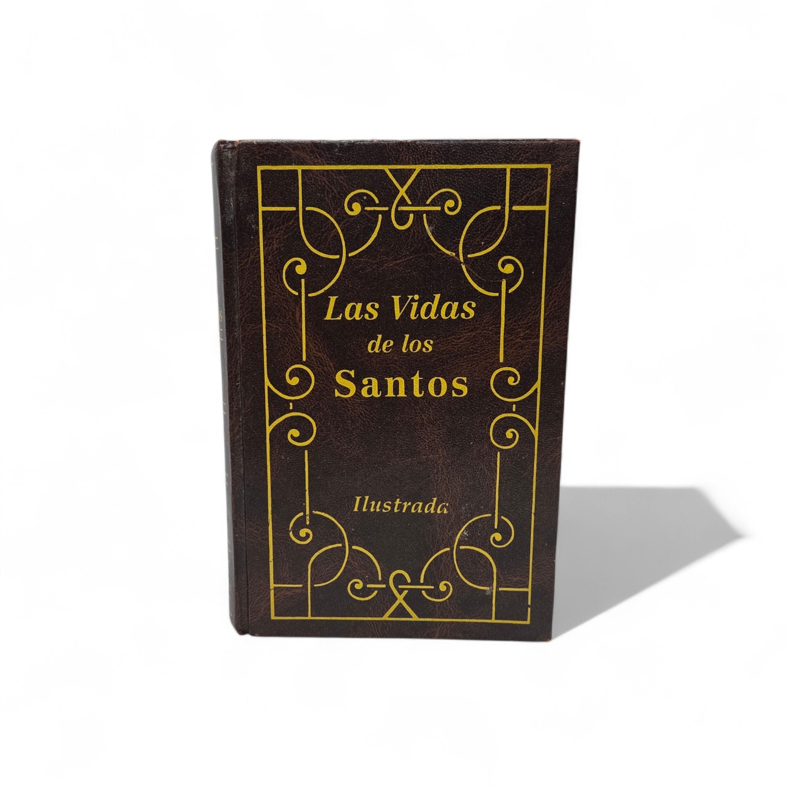 Las vidas de los santos Hardcover – Spanish Edition – H Hoever