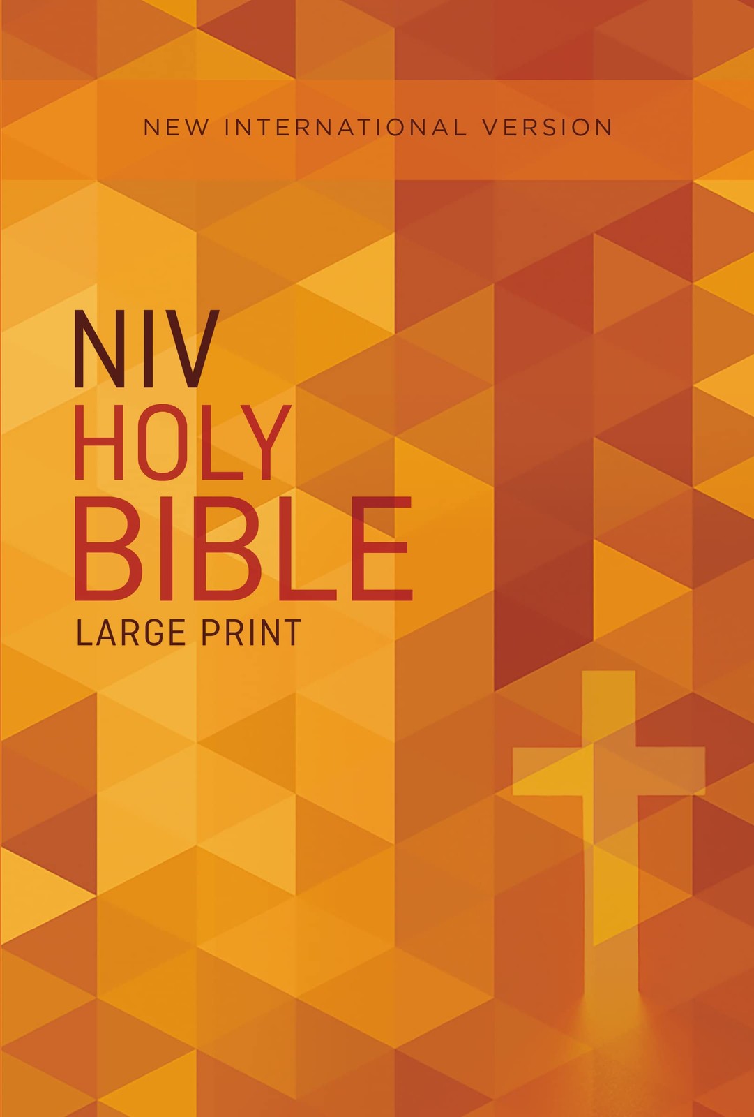 NIV, Outreach Bible, Large Print, Paperback by Zondervan