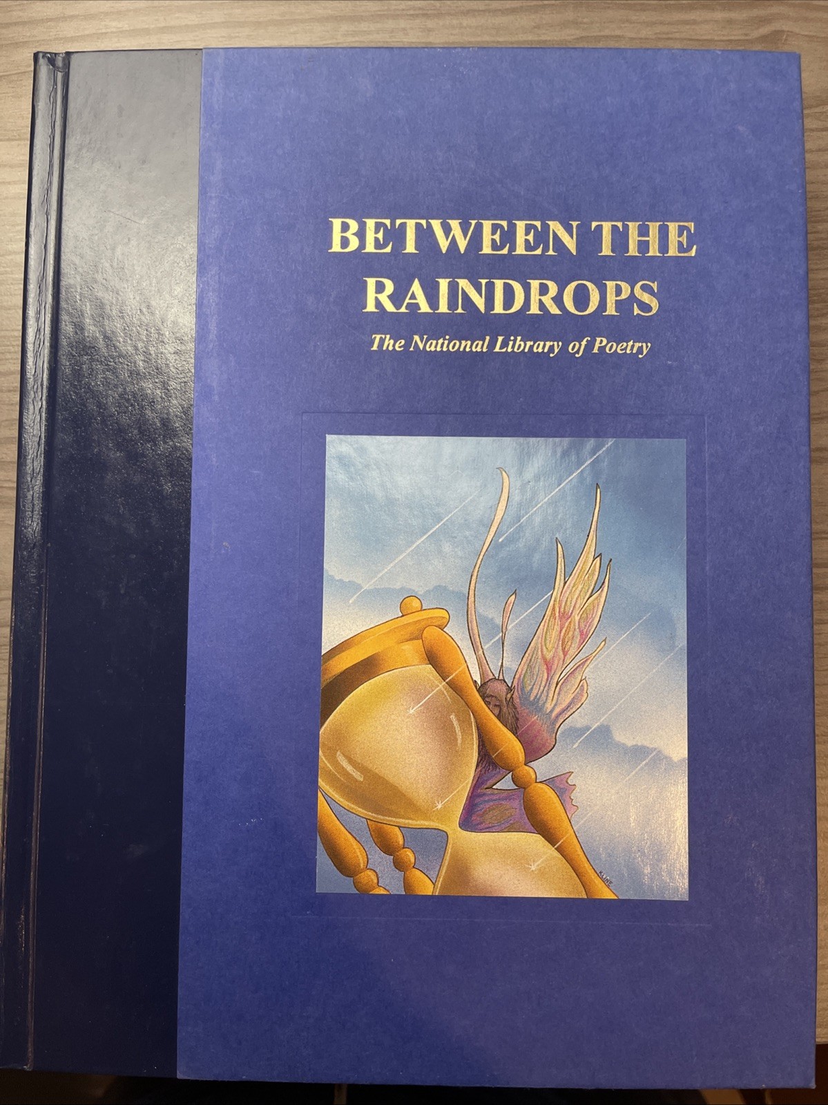 Between The Raindrops-The National Library of Poetry-Nicole Walstrum Editor