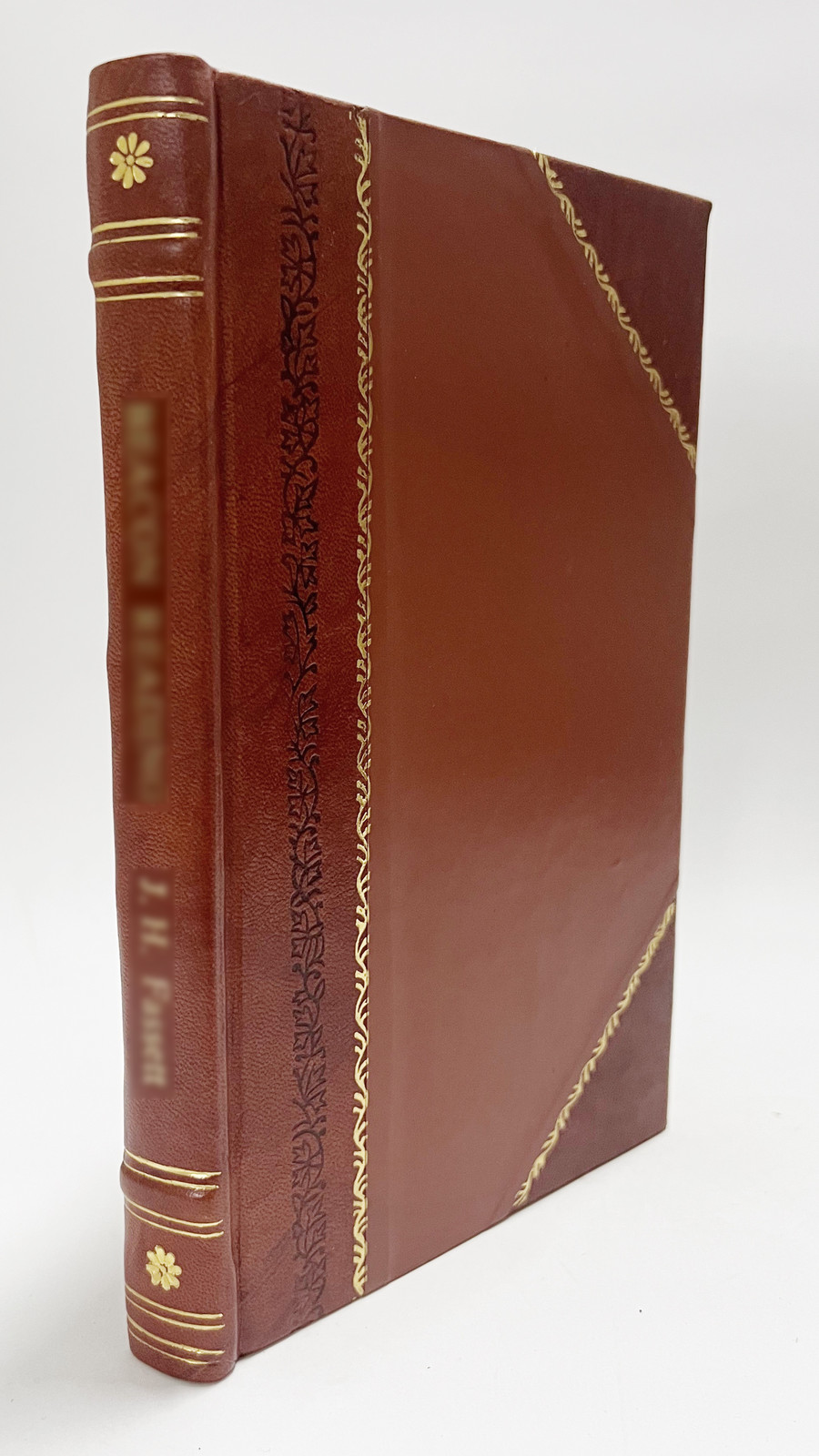 Using the Resources of the Country Church (1917) [Leather Bound]