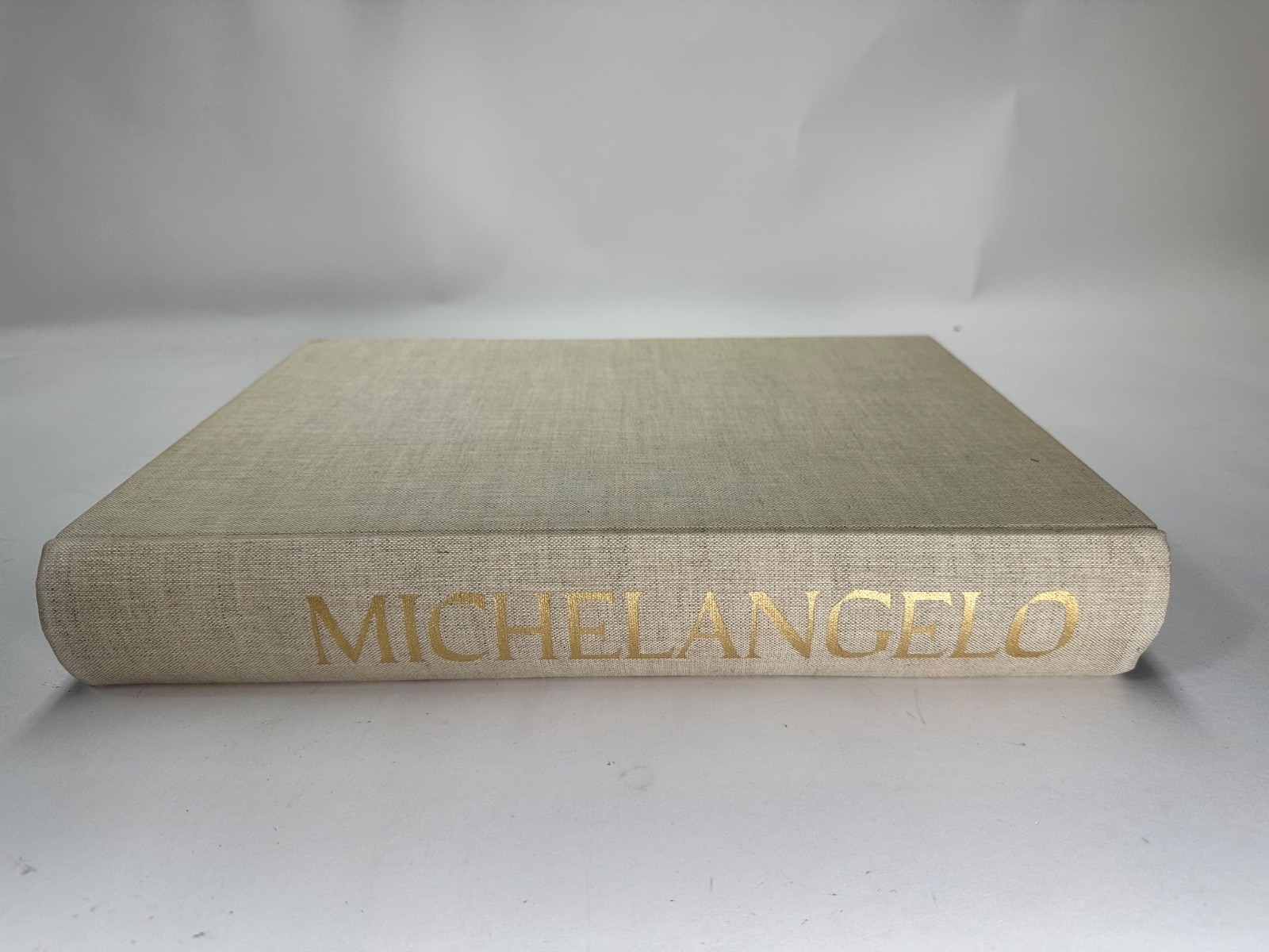 Complete Work of Michelangelo Reynal No Date HC DJ Art Folio Illustrated