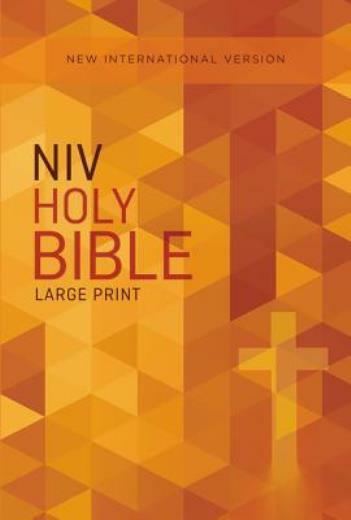 Outreach Bible-Niv