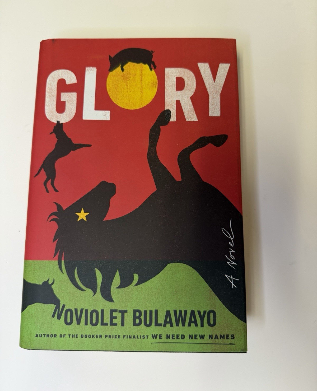 Glory – NoViolet Bulawayo Hardcover w/ Dust Jacket Ex-Library Adult Fiction