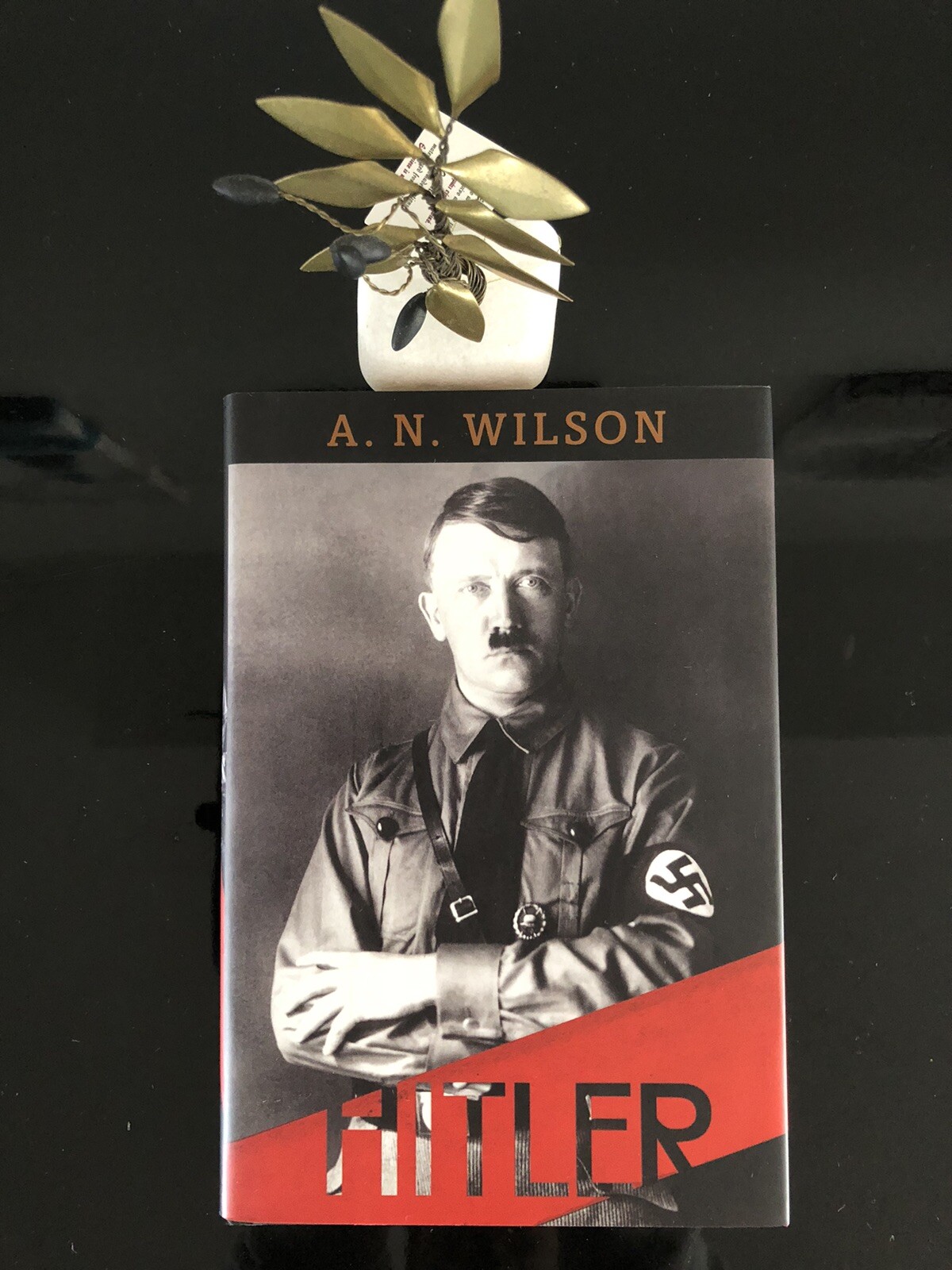 HITLER.A N Wilson.Basic Books.2012 First Ed/First Pr.H/C,D/J,L/New.