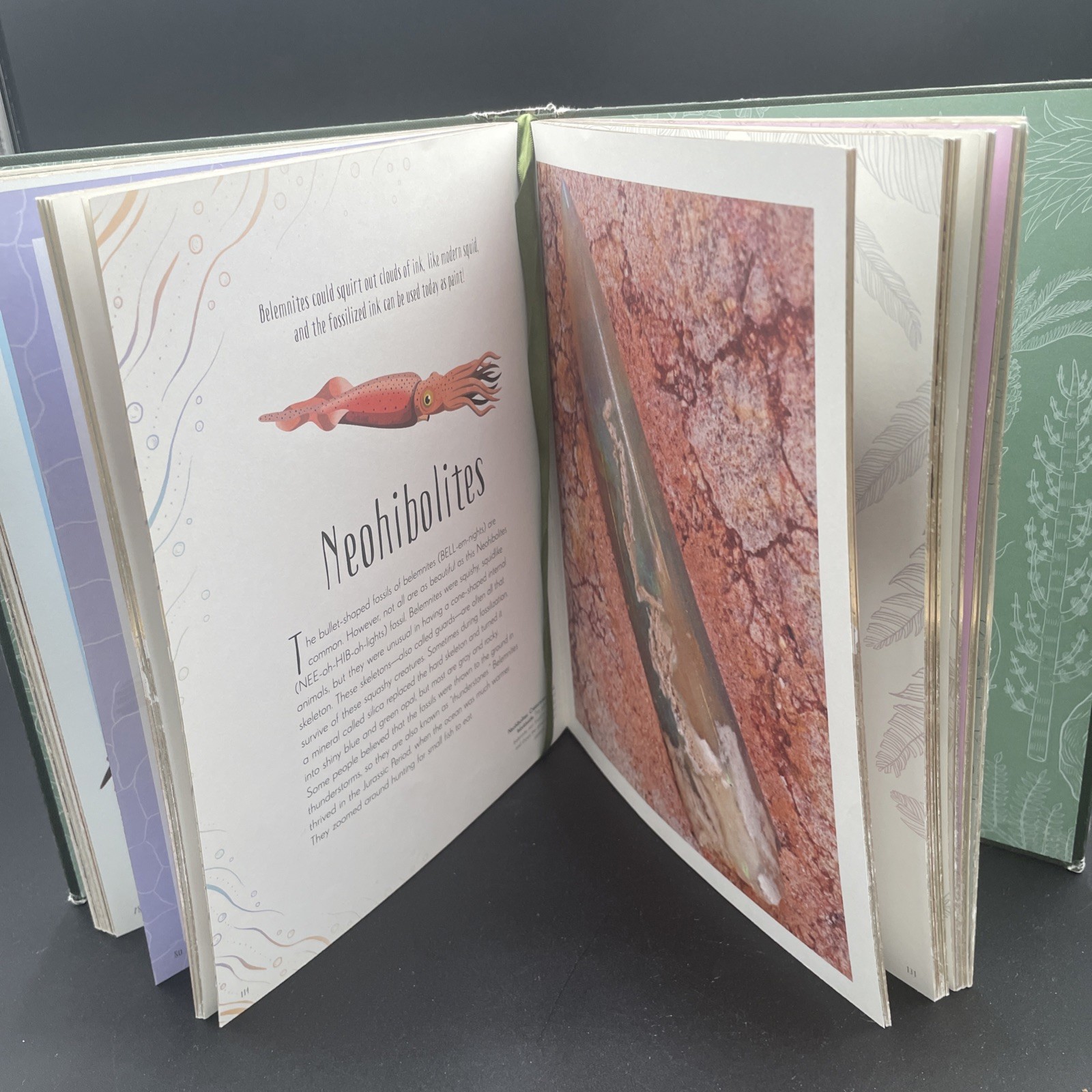 Dinosaurs and Other Prehistoric Life by Anusuya Chinsamy-Turan (2021, Hardcover)
