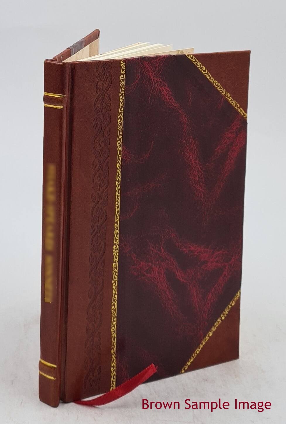 the smoky god or a voyage to the inner world 1908 by willis geor [Leather Bound]