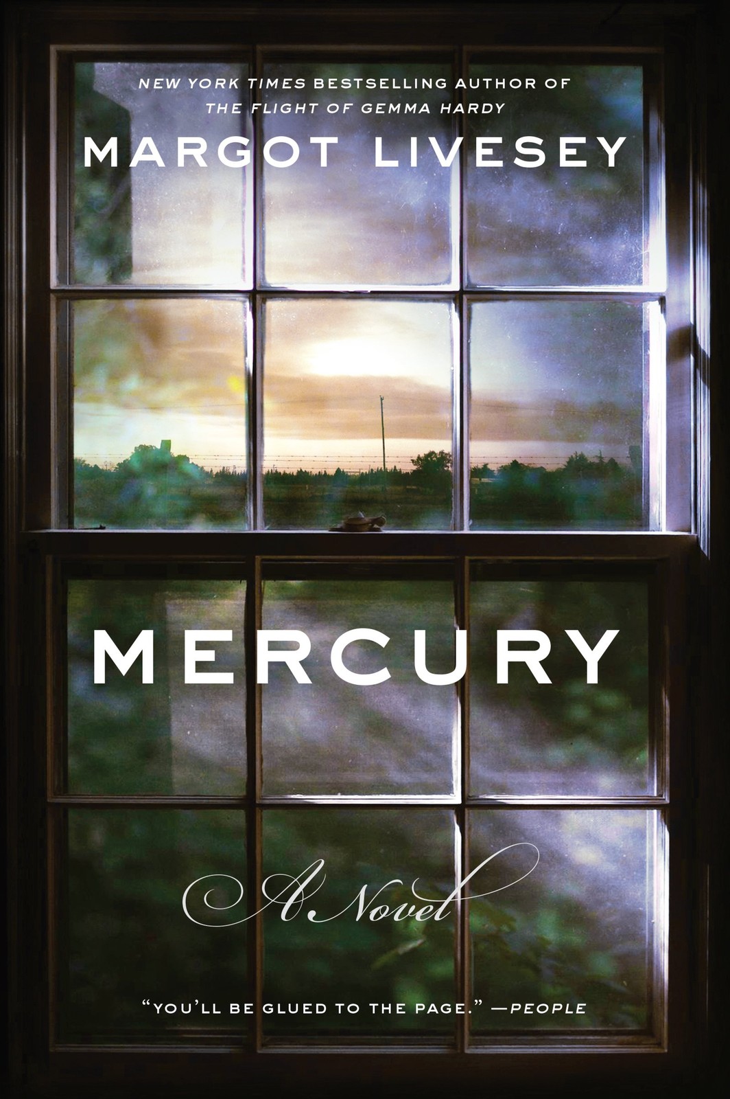 Mercury: A Novel, Livesey, Margot, Excellent Book