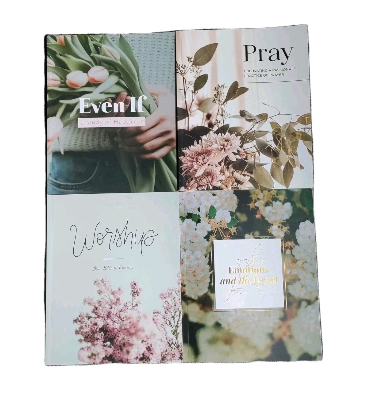 The Daily Grace Co. 4 Book Lot (Pray, Worship etc)