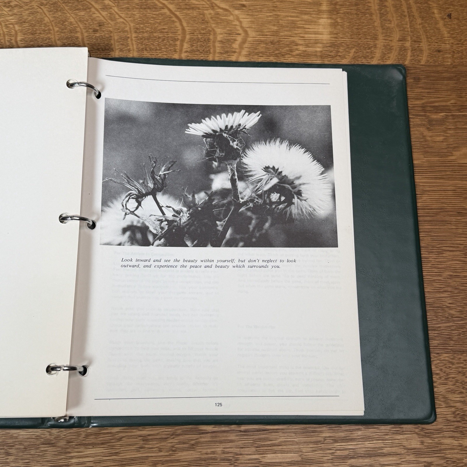 Super Rare Mike Dayton Chi Mind Control Bodybuilding Course Book Binder